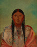 Ru-Ton-Wee-Me Pigeon sur l'aile - George Catlin — vy av konstverket