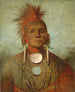 Iowas medicinhistoria - George Catlin — vy av konstverket