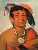 Sha-W-No Le Sud, en erkänd krigare - George Catlin — vy av konstverket