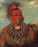 Shon-Ta-Yi-Ga Petit Loup, en berömd krigare - George Catlin — vy av konstverket
