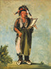 WahKnZeKaw ormen - George Catlin — vy av konstverket