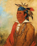 WahPnJeeA Svanen en Krigare - George Catlin — vy av konstverket