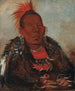 WahRoNeSah, den omringande ledaren för stammen - George Catlin — vy av konstverket
