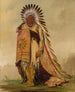 WnEeTon Chef de la tribu - George Catlin — vy av konstverket