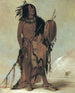 Wnnestou White Buffalo, en gammal helare - George Catlin — vy av konstverket