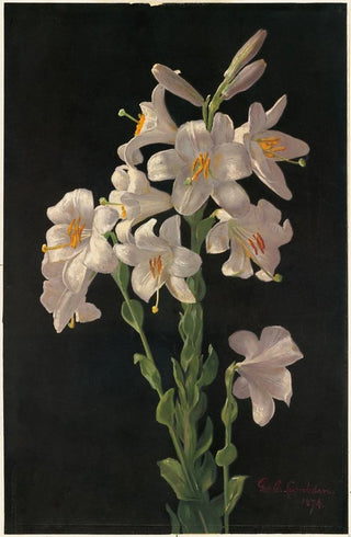 George Cochran Lambdin - Easter Lily.webp