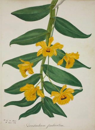 George De Alwis - Mon Jardin a Ceylan Pl027.webp