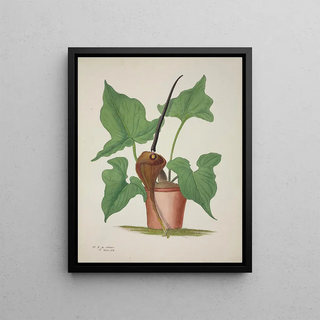 George De Alwis - Mon Jardin a Ceylan Pl033.webp