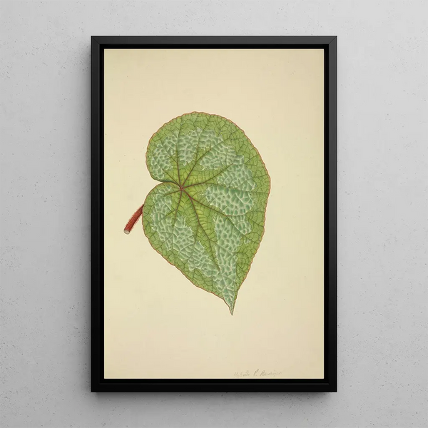 George De Alwis - Mon Jardin a Ceylan Pl193.webp