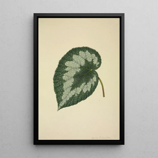 George De Alwis - Mon Jardin a Ceylan Pl203.webp