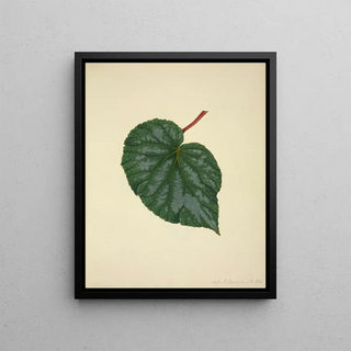 George De Alwis - Mon Jardin a Ceylan Pl214.webp