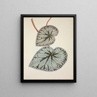 George De Alwis - Mon Jardin a Ceylan Pl224.webp