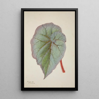 George De Alwis - Mon Jardin a Ceylan Pl232.webp