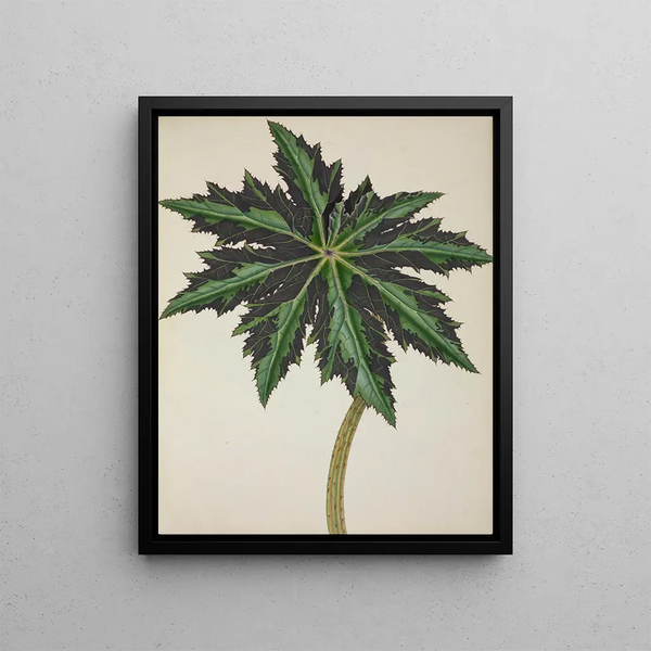 George De Alwis - Mon Jardin a Ceylan Pl241.webp