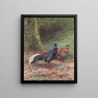George Edward Lodge - Malayan Crested Fireback.webp