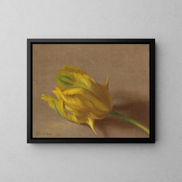 Tulipe - George Henry Hall — inramlat konstverk på väggen