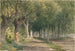 Allée d'arbres - George Henry Smillie — vy av konstverket