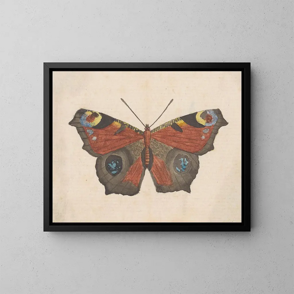 Aquarelle d'entomologie Pl069 - George Hudson — inramlat konstverk på väggen