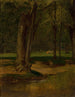Ruisseau à truites de North Conway - George Inness — vy av konstverket
