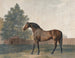 Enclume - George Stubbs — vy av konstverket