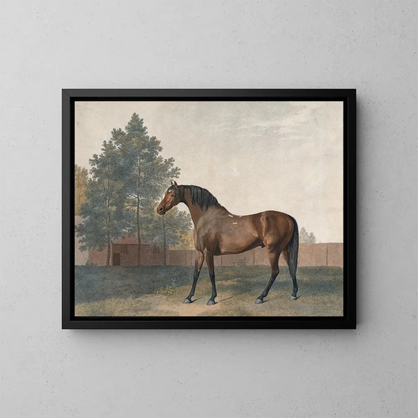 Enclume - George Stubbs — inramlat konstverk på väggen