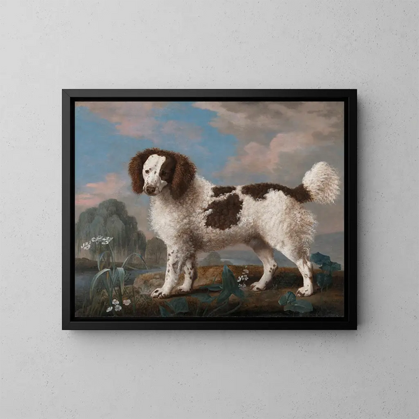Spaniel Norfolk brun och vit - George Stubbs — inramlat konstverk på väggen