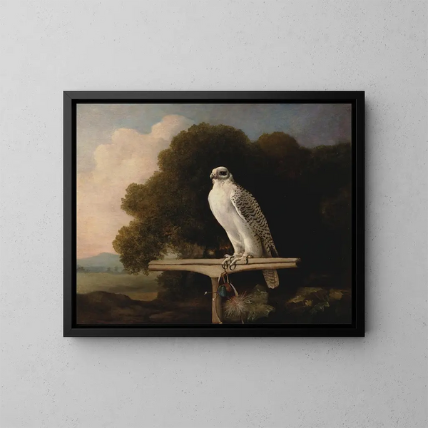 Faucon du Groenland - George Stubbs — inramlat konstverk på väggen
