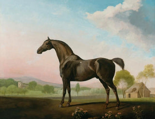 George Stubbs - Lord Grosvenors Sweet William In A Landscape.webp