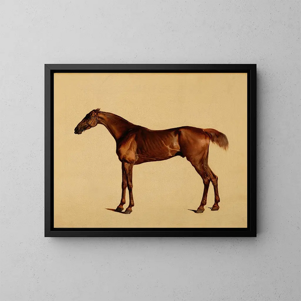 Pangloss - George Stubbs — inramlat konstverk på väggen