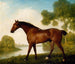 En trapplöparejägare - George Stubbs — vy av konstverket