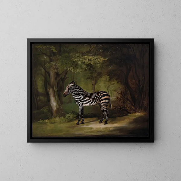 Zèbre - George Stubbs — inramlat konstverk på väggen