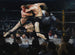 Hjort vid Sharkey's - George Wesley Bellows — vy av konstverket