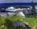 Rivage couvert de vignes, île Monhegan - George Wesley Bellows — vy av konstverket