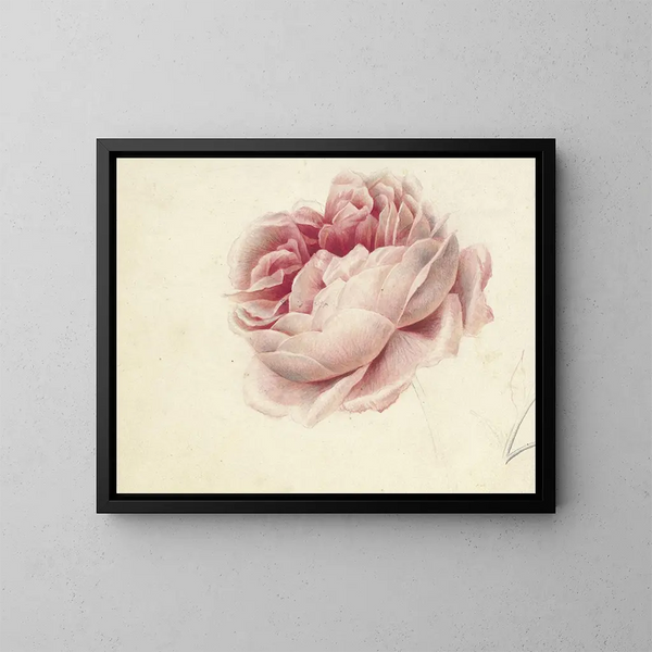 Roses roses - Georgius Jacobus Johannes van Os — inramlat konstverk på väggen