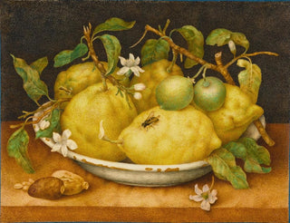 Giovanna Garzoni - Still Life With Bowl Of Citrons.webp