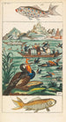 Naturhistoria 27 volymer - Gottlieb Tobias Wilhelm — vy av konstverket