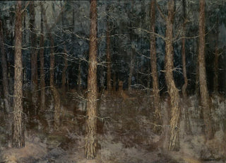 Gust van de Wall Pern - Mystieke paden bosgezicht.webp