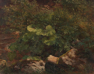 Studie av växter - Gustav Friedrich Papperitz — vy av konstverket