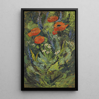 Gustav Macoun - Poppies.webp