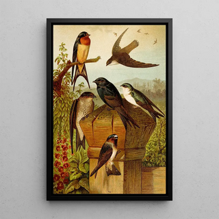 Gustav Mutzel - Die Nordamerikanische Vogelwelt pl19.webp