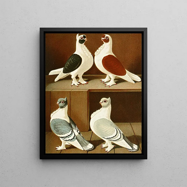 Gustav Prtz - C turbitinae.webp