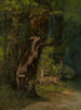 Hjort i skogen - Gustave Courbet — vy av konstverket