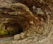 Grotte de Sarrazine nära Nans-sous-Sainte-Anne - Gustave Courbet — vy av konstverket