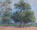 Vår, blommande äppelträd - Gustave Loiseau — vy av konstverket