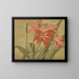 Hannah Borger Overbeck - Amaryllis.webp