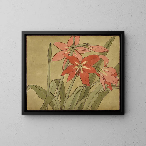 Amaryllis - Hannah Borger Overbeck — inramlat konstverk på väggen