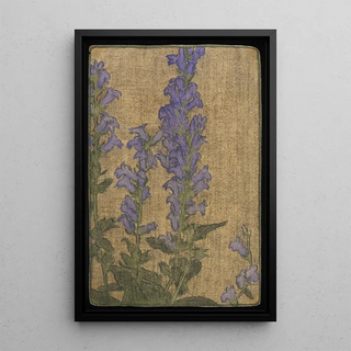Hannah Borger Overbeck - Delphinium.webp