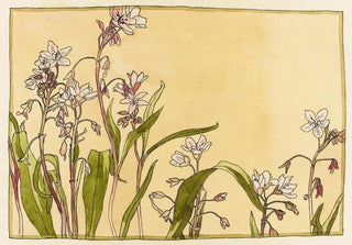 Hannah Borger Overbeck - Spring Beauty.webp