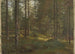 Landskapsbild med skog - Hans Gude — vy av konstverket