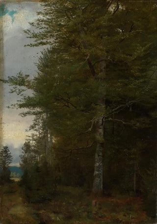 Hans Thoma - Buche am Waldrand.webp